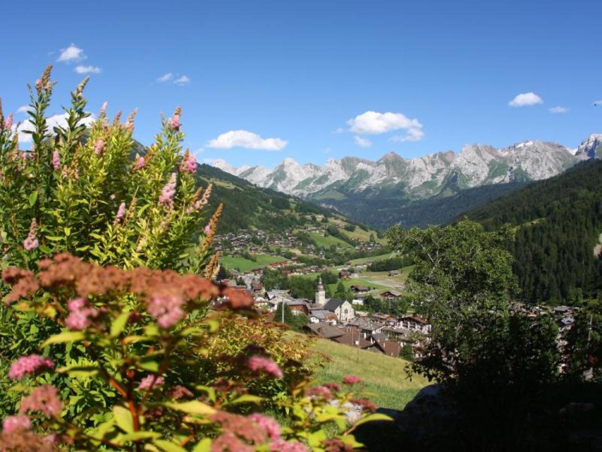 Studio Montagnard Avec Balcon, Vue Montagnes Et Acces Bien-Etre - Fr-1-467-38